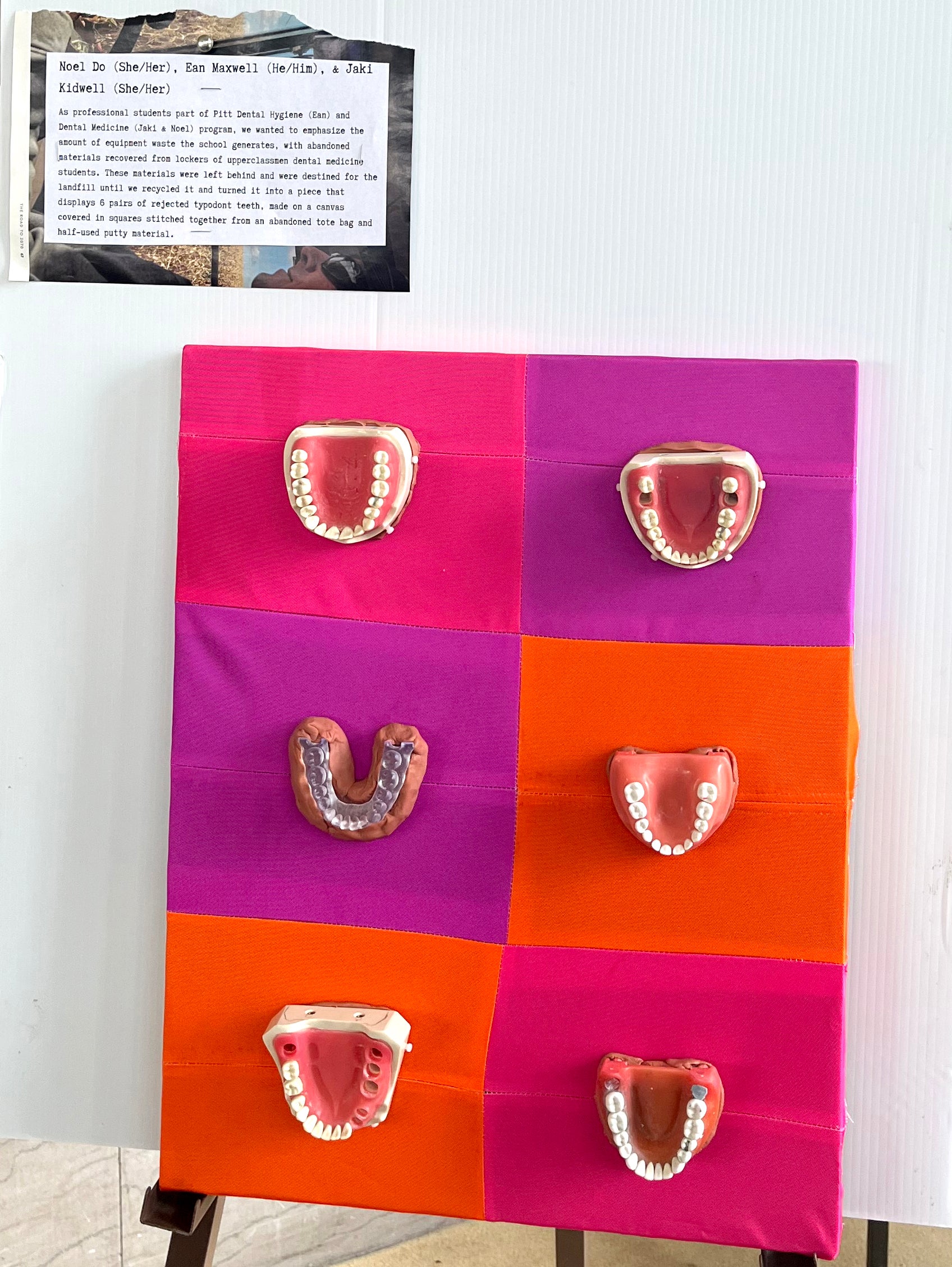 EcoArtisan Artwork created by Pitt Dental Medicine Students